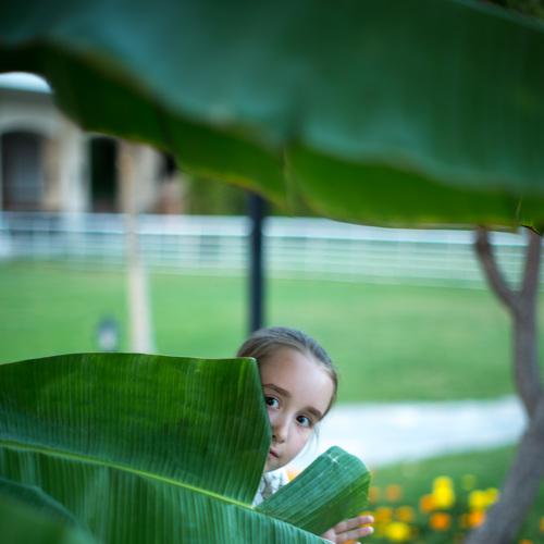 Photo #3685846