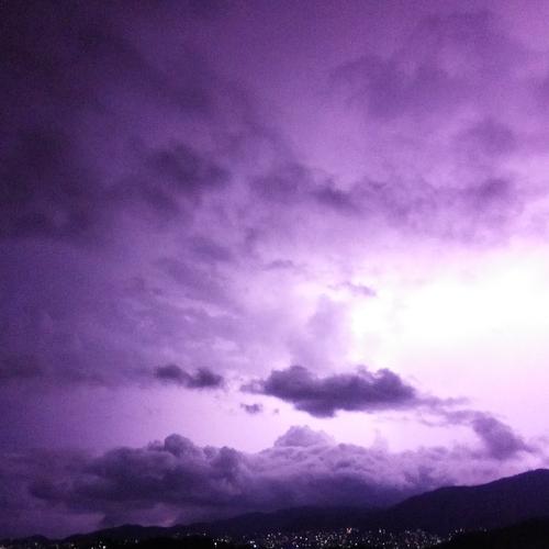 Photo #3685851