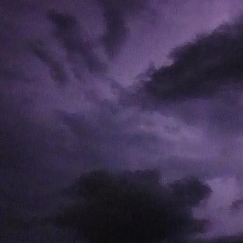 Photo #3685852