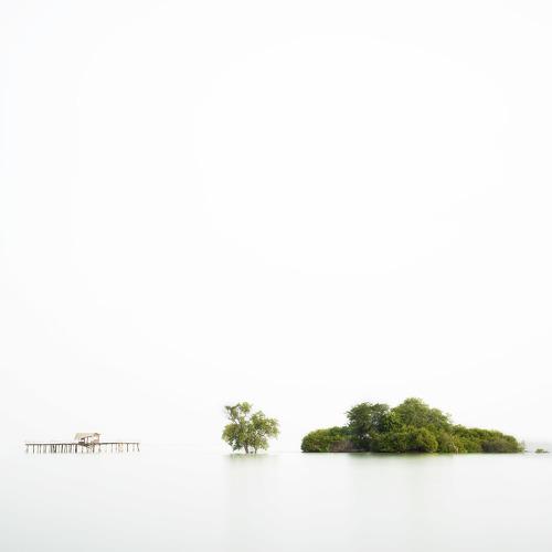 A shack, a tree and an island