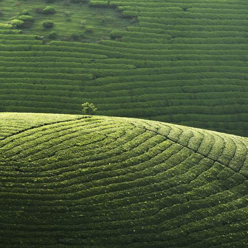 Photo #3686000