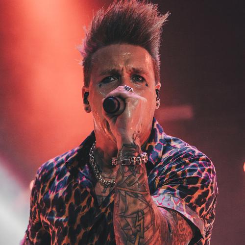 Photo #3686105