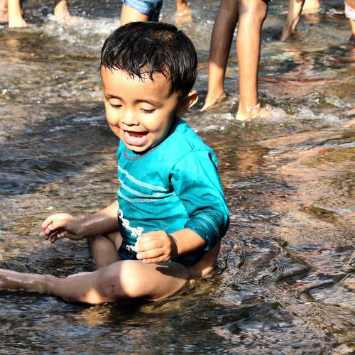 Photo #3686354