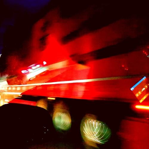 Photo #3686525