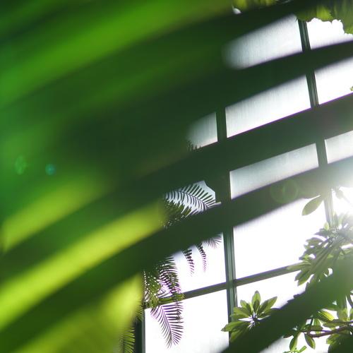 Photo #3686660