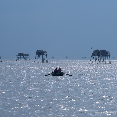 Light blue Tide