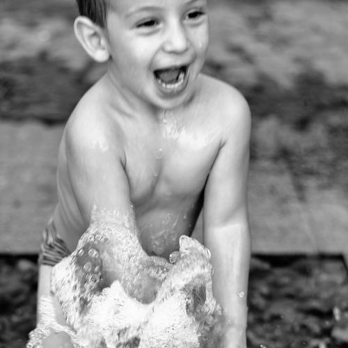 Photo #3686691