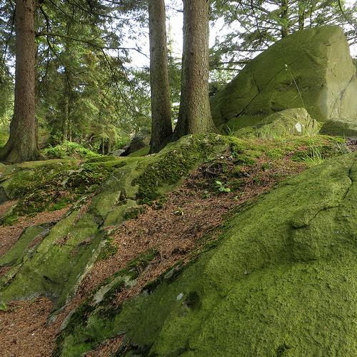 Photo #3686816