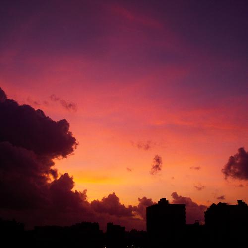 Photo #3686840