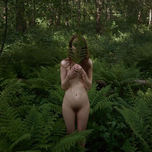 Фотография #3686857