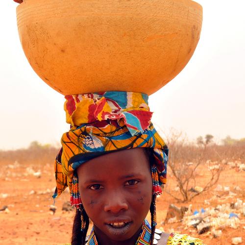 Photo #3686997