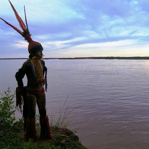 Photo #3687084