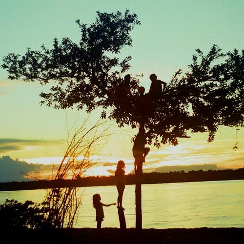 Photo #3687085