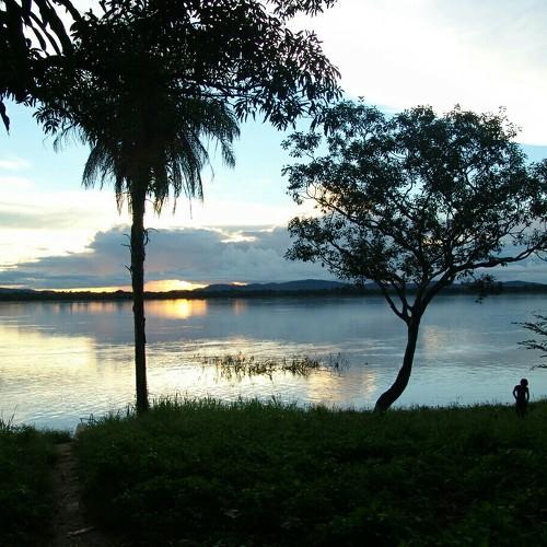 Photo #3687091