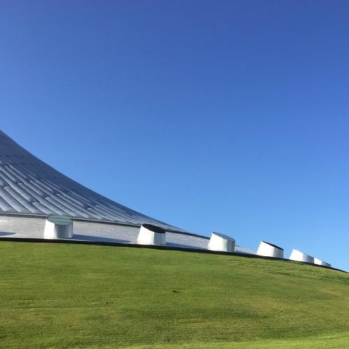 Photo #3687416