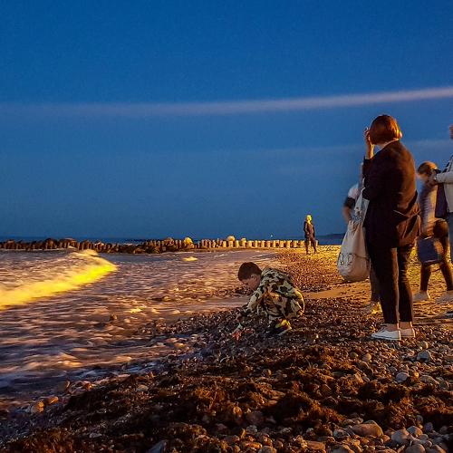 Photo #3687722