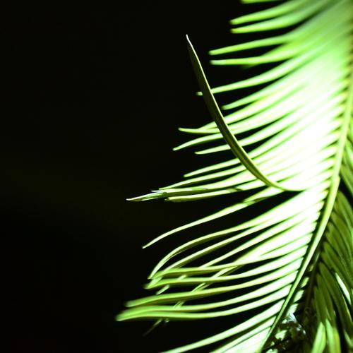 Photo #3687877