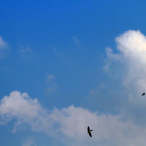 Photo #3688033