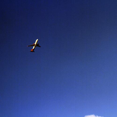 Photo #3688075