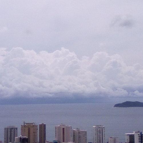 Photo #3688335