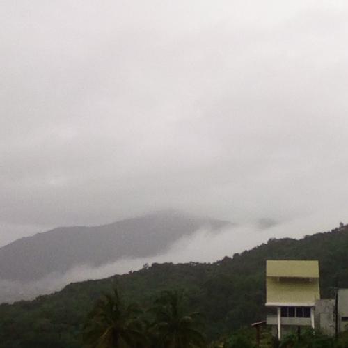 Photo #3688337