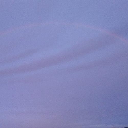 Photo #3688345