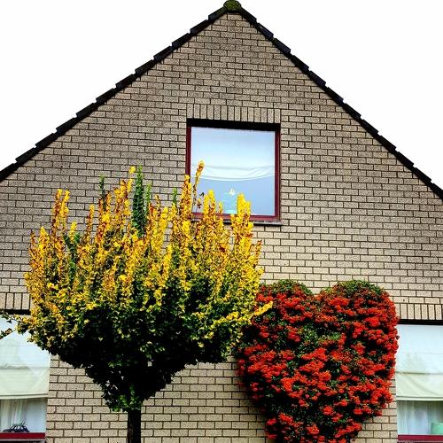 Photo #3688511