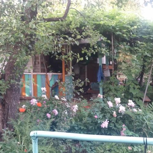 Photo #3689308