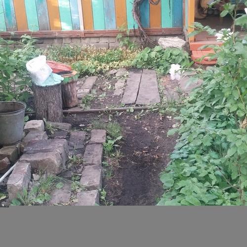 Photo #3689315