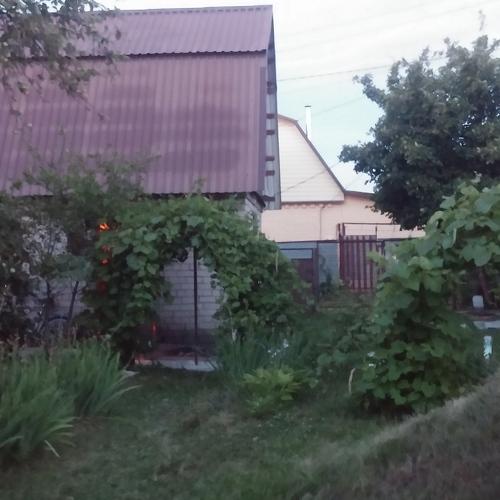 Photo #3689332