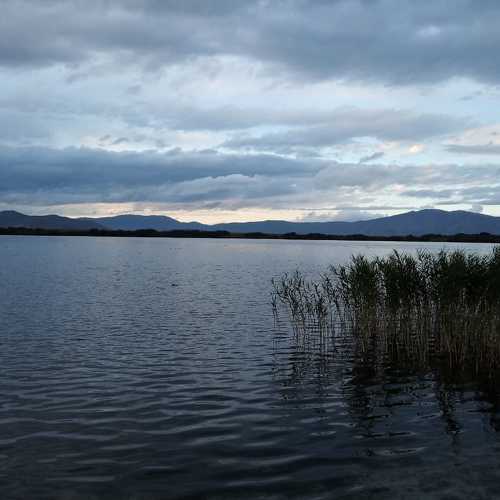 Photo #3689372