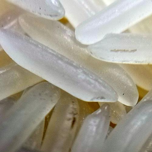 Photo #3689829