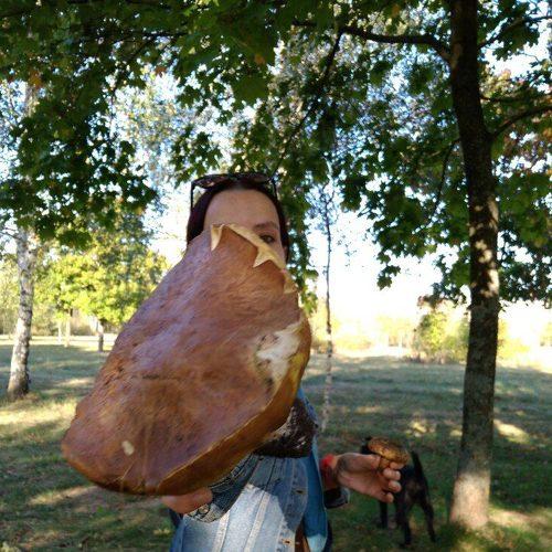 Photo #3690024