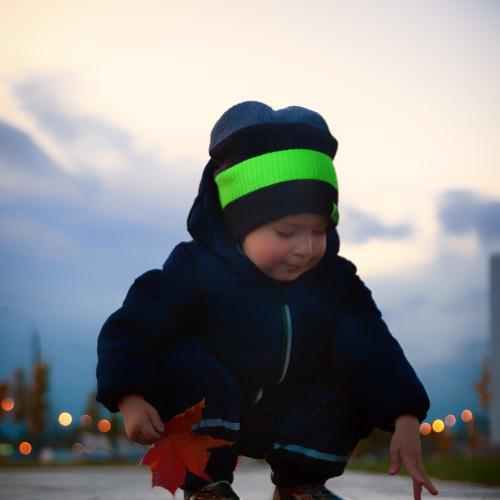 Photo #3690085