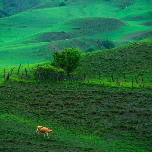 Photo #3690110