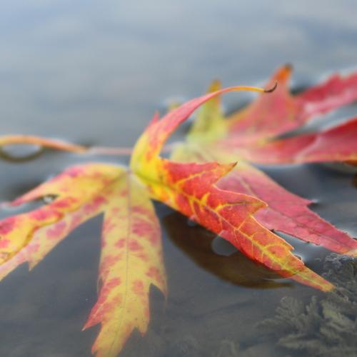 Photo #3690241
