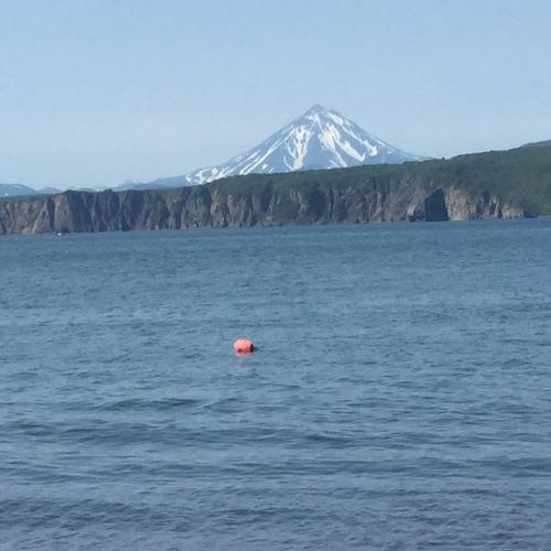 Photo #3690308