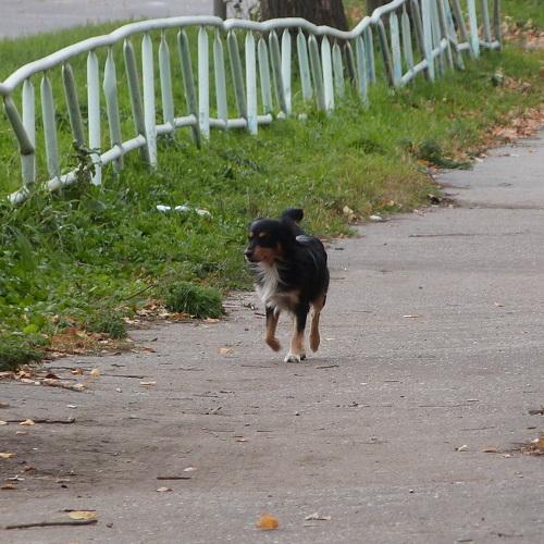 Photo #3690404
