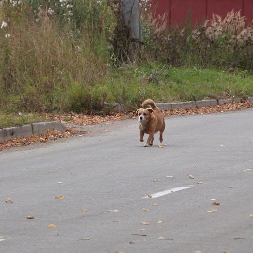 Photo #3690407