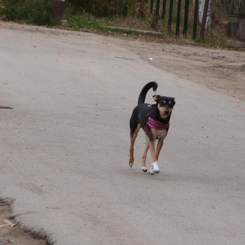 Photo #3690410