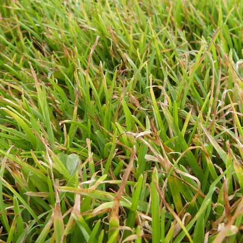 Photo #3690415