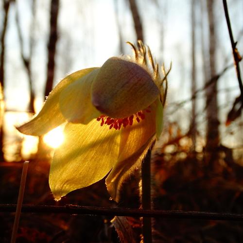 Photo #3690680