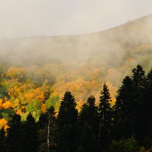 Photo #3690770