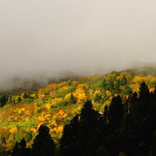 Photo #3690775