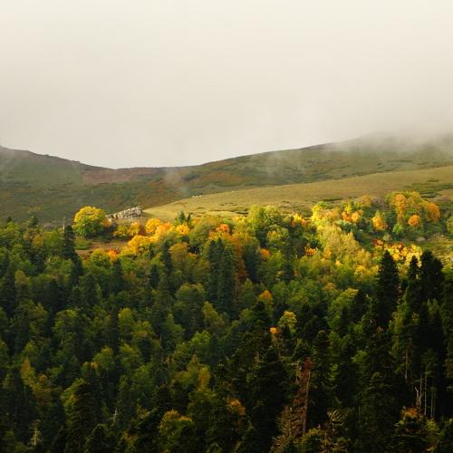 Photo #3690782