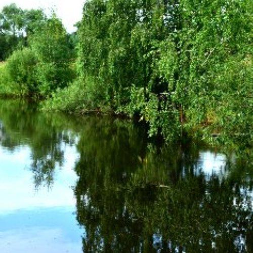 Малая зеленая Родина