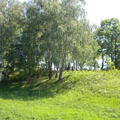 Подмосковье-родная земля