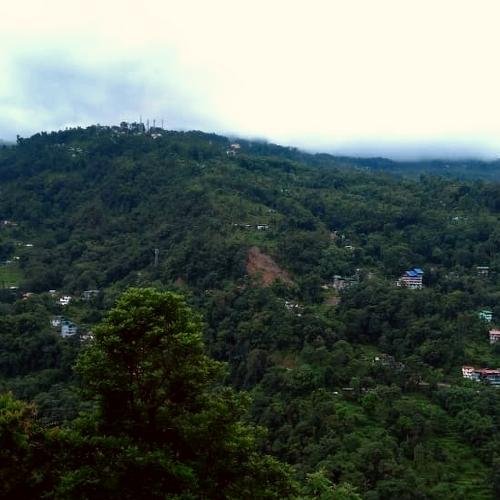 Photo #3691441