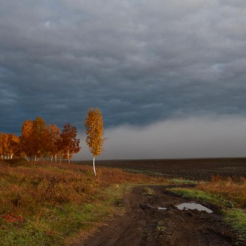 Photo #3691517
