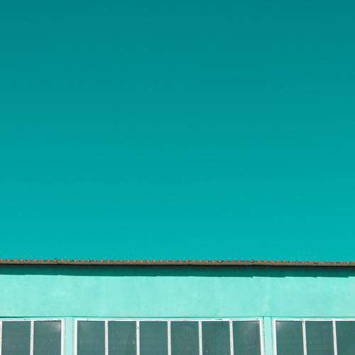 Photo #3691561